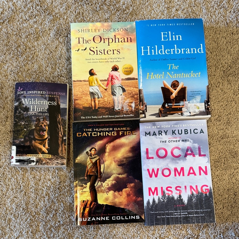 Book Collection: Mystery and Fiction Set